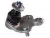 Ball Joint:43330-49055